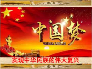 救援非洲金猫